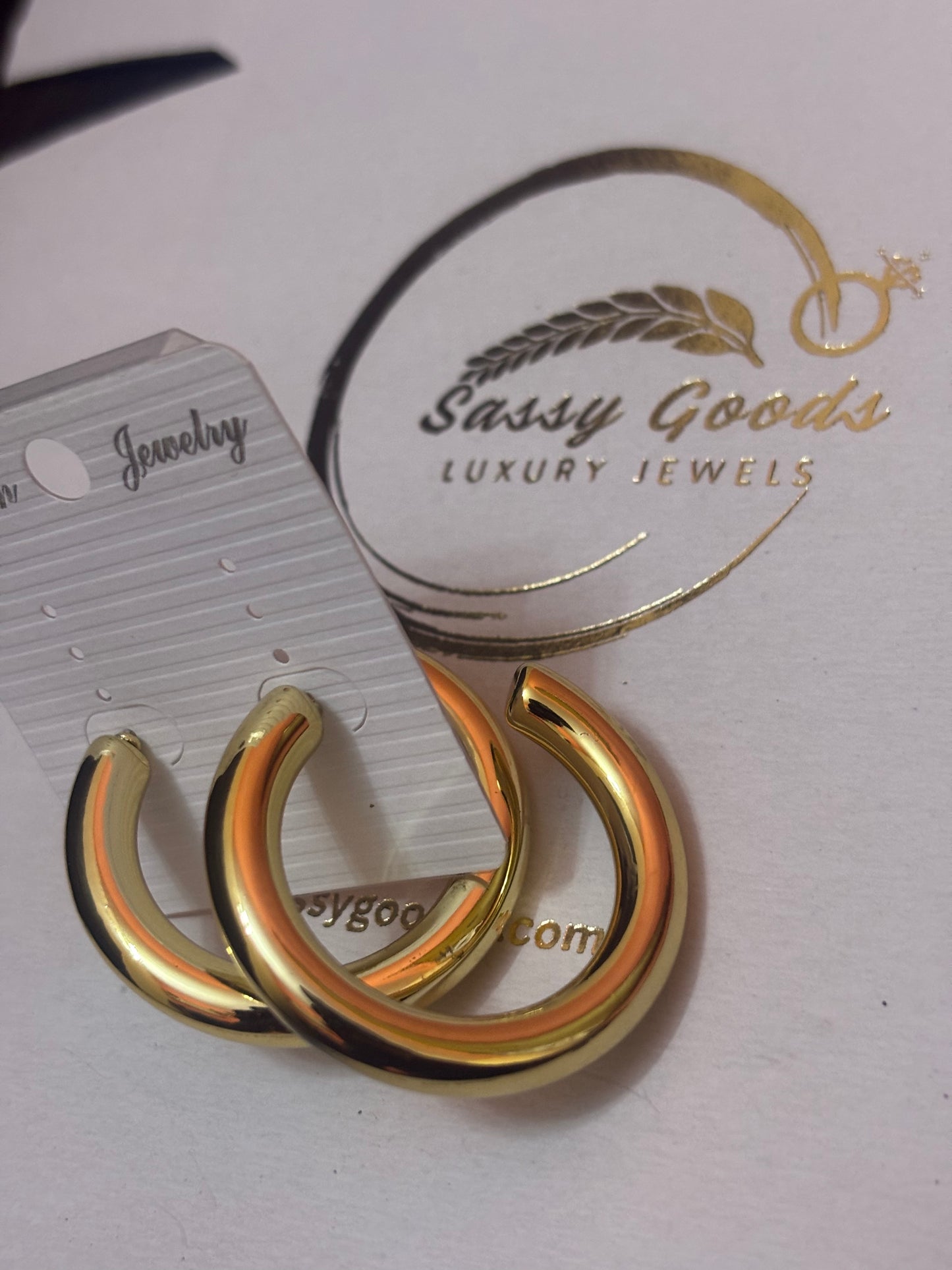 ✨ Golden Aura Hoops